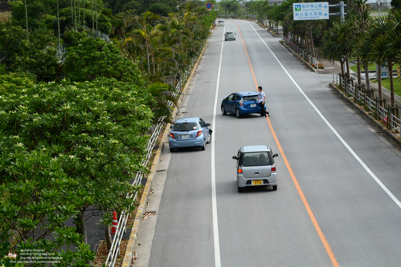 DSC_3129.jpg